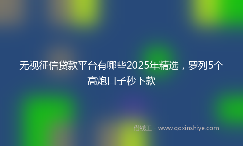 无视征信贷款平台有哪些2025年精选，罗列5个高炮口子秒下款