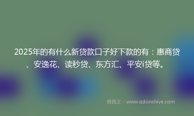 2025年的有什么新贷款口子好下款的有：惠商贷、安逸花、读秒贷、东方汇、平安i贷等。