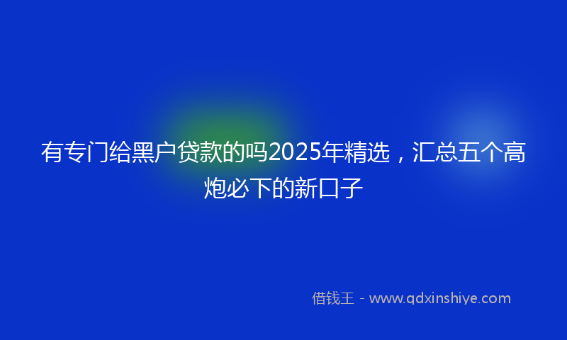 有专门给黑户贷款的吗2025年精选，汇总五个高炮必下的新口子