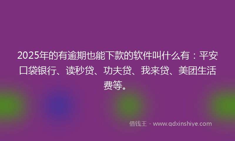 2025年的有逾期也能下款的软件叫什么有：平安口袋银行、读秒贷、功夫贷、我来贷、美团生活费等。