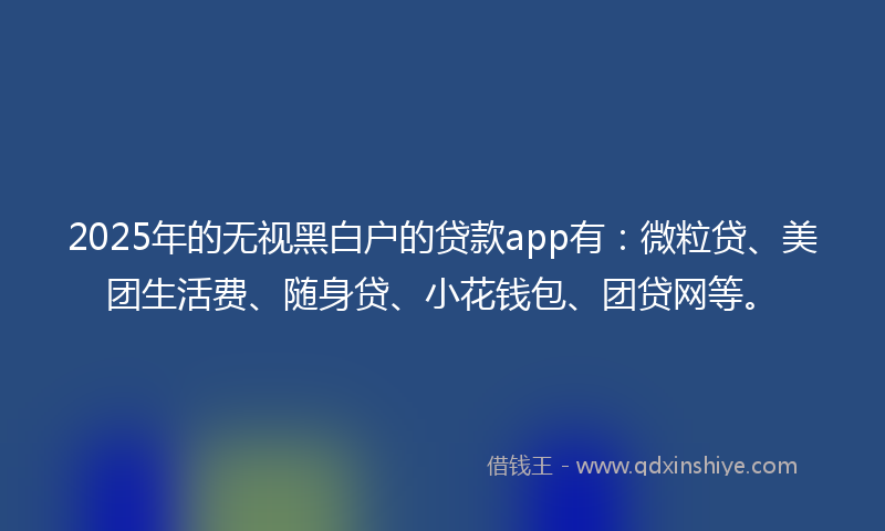 2025年的无视黑白户的贷款app有：微粒贷、美团生活费、随身贷、小花钱包、团贷网等。