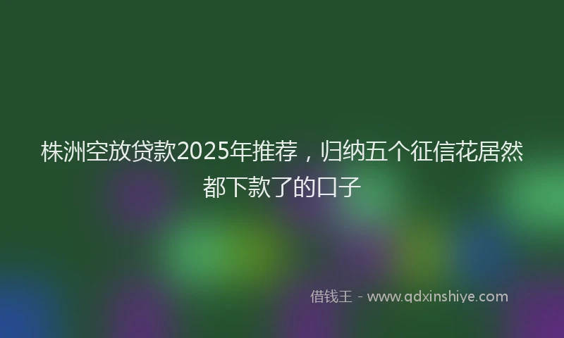 株洲空放贷款2025年推荐，归纳五个征信花居然都下款了的口子