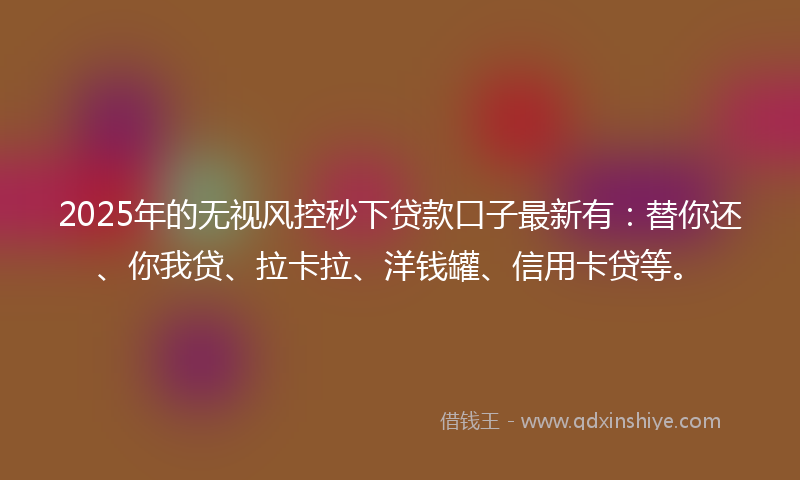 2025年的无视风控秒下贷款口子最新有：替你还、你我贷、拉卡拉、洋钱罐、信用卡贷等。