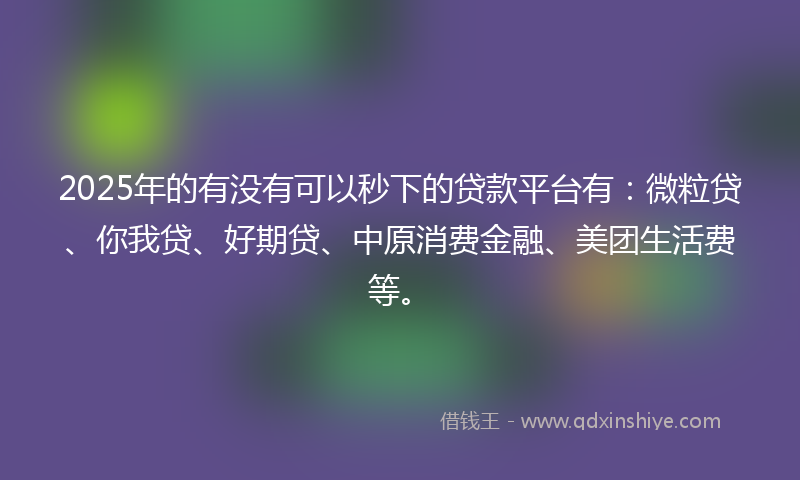2025年的有没有可以秒下的贷款平台有：微粒贷、你我贷、好期贷、中原消费金融、美团生活费等。