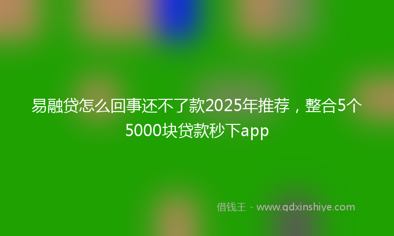 易融贷怎么回事还不了款2025年推荐，整合5个5000块贷款秒下app