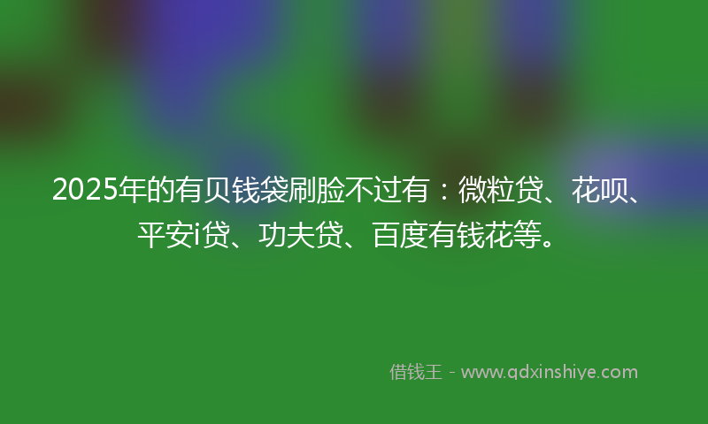 2025年的有贝钱袋刷脸不过有：微粒贷、花呗、平安i贷、功夫贷、百度有钱花等。