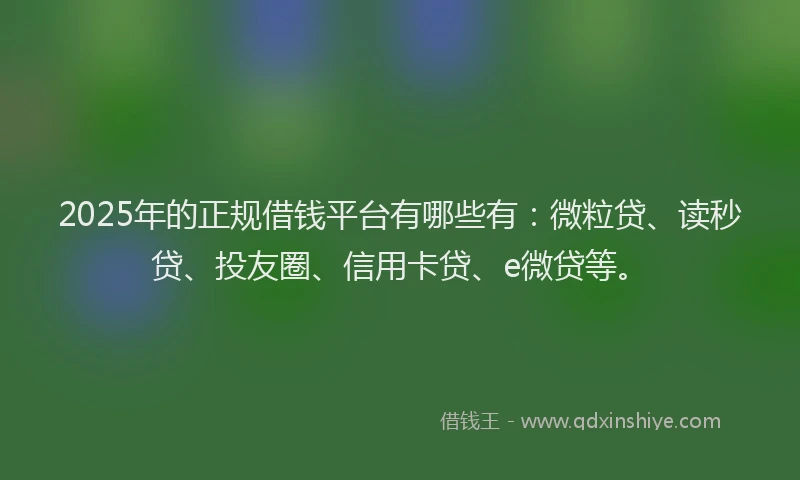 2025年的正规借钱平台有哪些有：微粒贷、读秒贷、投友圈、信用卡贷、e微贷等。