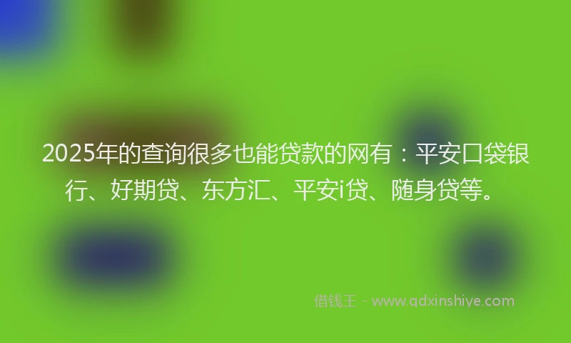 2025年的查询很多也能贷款的网有：平安口袋银行、好期贷、东方汇、平安i贷、随身贷等。