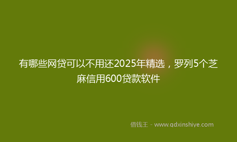 有哪些网贷可以不用还2025年精选，罗列5个芝麻信用600贷款软件