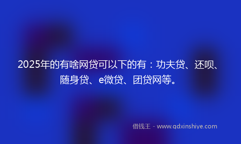 2025年的有啥网贷可以下的有：功夫贷、还呗、随身贷、e微贷、团贷网等。