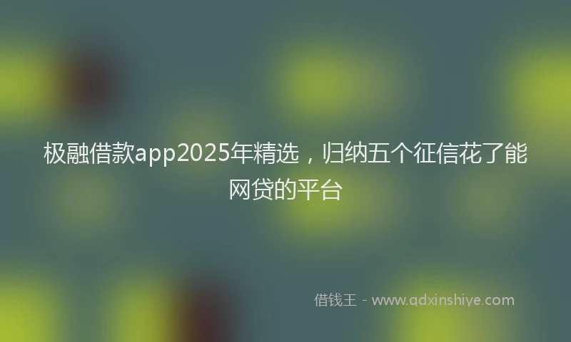 极融借款app2025年精选，归纳五个征信花了能网贷的平台