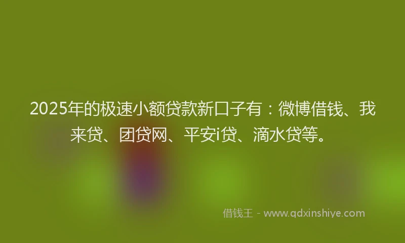 2025年的极速小额贷款新口子有：微博借钱、我来贷、团贷网、平安i贷、滴水贷等。