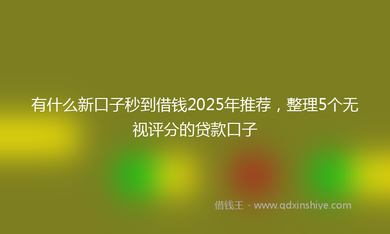 有什么新口子秒到借钱2025年推荐，整理5个无视评分的贷款口子