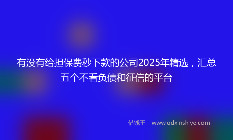 有没有给担保费秒下款的公司2025年精选，汇总五个不看负债和征信的平台