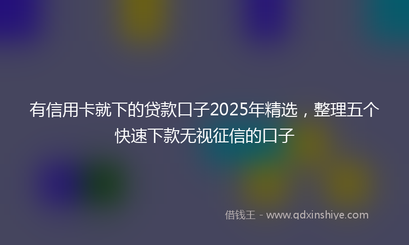 有信用卡就下的贷款口子2025年精选，整理五个快速下款无视征信的口子