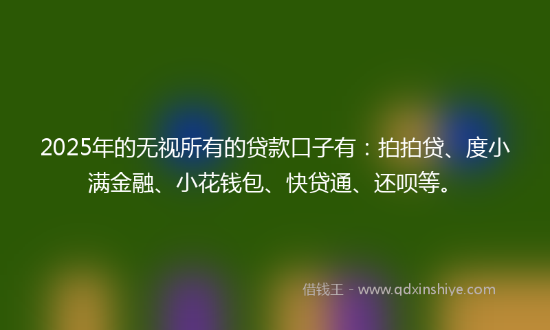 2025年的无视所有的贷款口子有：拍拍贷、度小满金融、小花钱包、快贷通、还呗等。