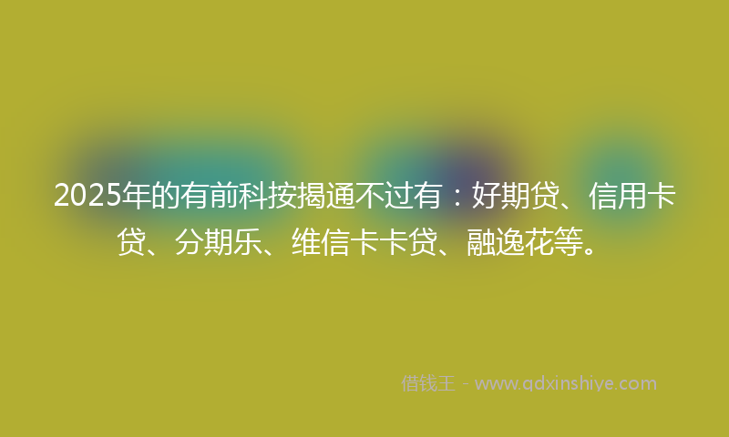 2025年的有前科按揭通不过有：好期贷、信用卡贷、分期乐、维信卡卡贷、融逸花等。