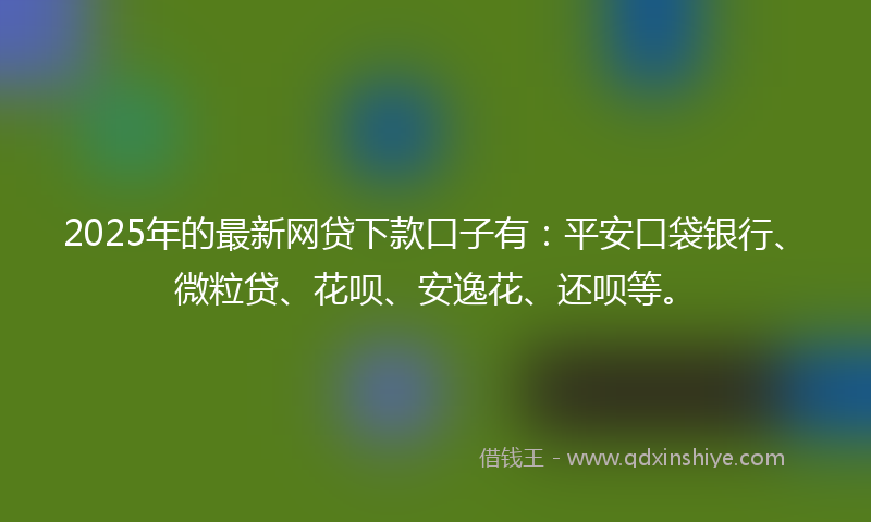 2025年的最新网贷下款口子有：平安口袋银行、微粒贷、花呗、安逸花、还呗等。