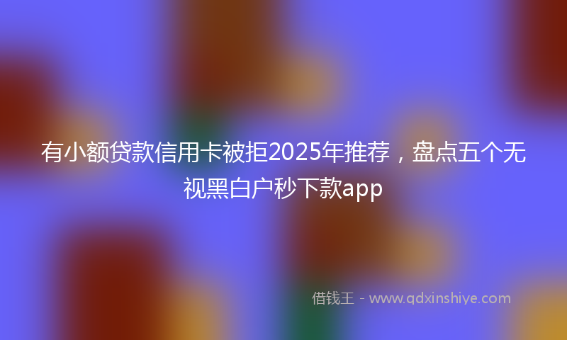 有小额贷款信用卡被拒2025年推荐，盘点五个无视黑白户秒下款app