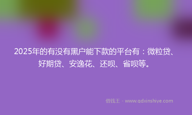 2025年的有没有黑户能下款的平台有：微粒贷、好期贷、安逸花、还呗、省呗等。