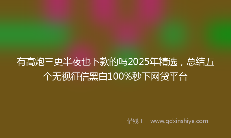 有高炮三更半夜也下款的吗2025年精选，总结五个无视征信黑白100%秒下网贷平台