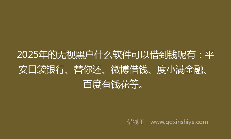 2025年的无视黑户什么软件可以借到钱呢有：平安口袋银行、替你还、微博借钱、度小满金融、百度有钱花等。