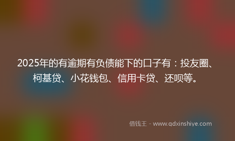 2025年的有逾期有负债能下的口子有：投友圈、柯基贷、小花钱包、信用卡贷、还呗等。
