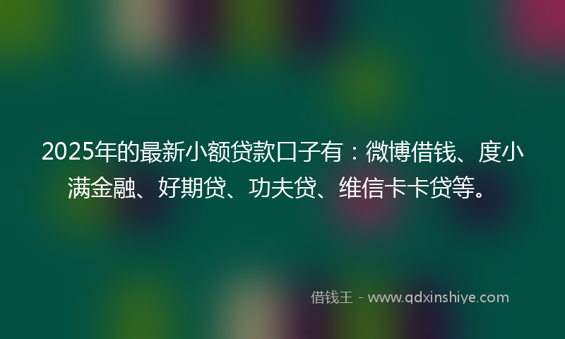 2025年的最新小额贷款口子有：微博借钱、度小满金融、好期贷、功夫贷、维信卡卡贷等。