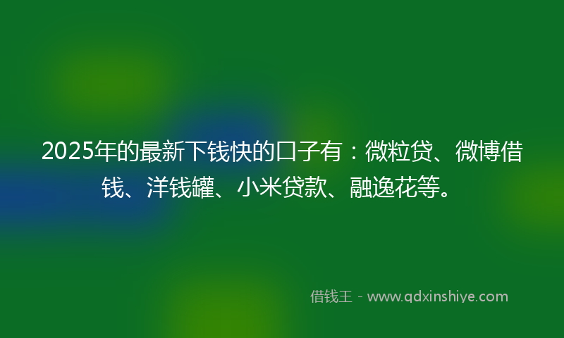 2025年的最新下钱快的口子有：微粒贷、微博借钱、洋钱罐、小米贷款、融逸花等。