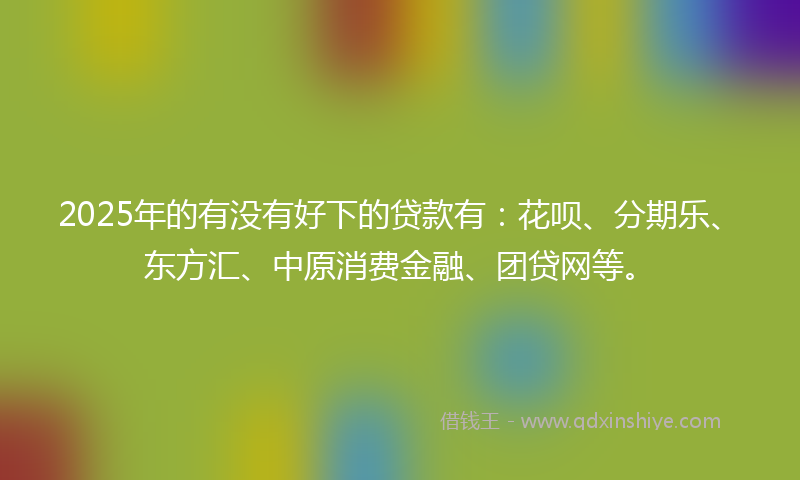 2025年的有没有好下的贷款有：花呗、分期乐、东方汇、中原消费金融、团贷网等。