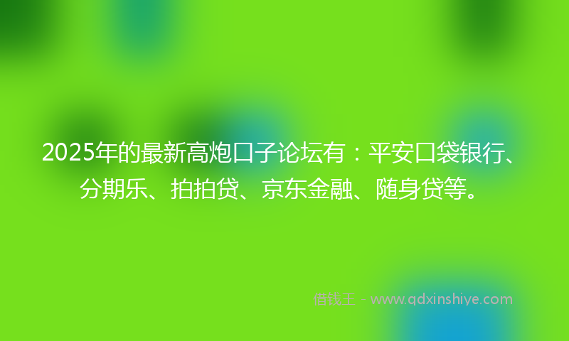 2025年的最新高炮口子论坛有：平安口袋银行、分期乐、拍拍贷、京东金融、随身贷等。