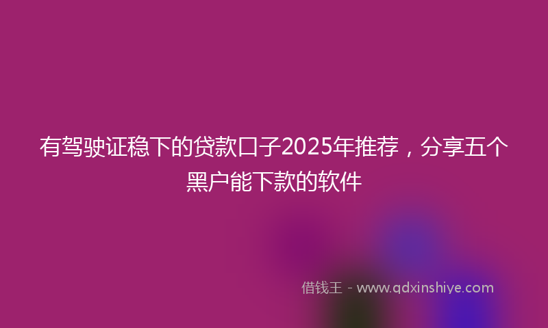 有驾驶证稳下的贷款口子2025年推荐，分享五个黑户能下款的软件