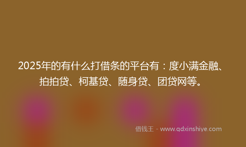 2025年的有什么打借条的平台有：度小满金融、拍拍贷、柯基贷、随身贷、团贷网等。