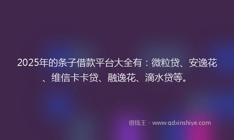 2025年的条子借款平台大全有：微粒贷、安逸花、维信卡卡贷、融逸花、滴水贷等。