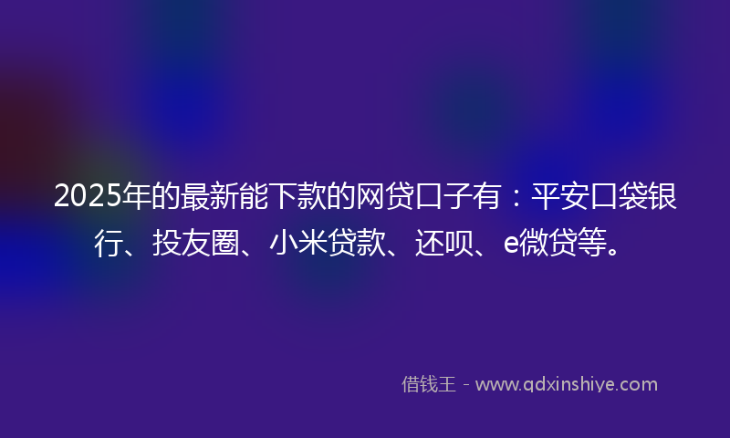 2025年的最新能下款的网贷口子有：平安口袋银行、投友圈、小米贷款、还呗、e微贷等。