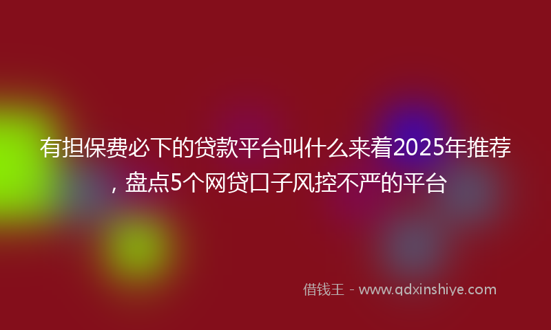 有担保费必下的贷款平台叫什么来着2025年推荐，盘点5个网贷口子风控不严的平台