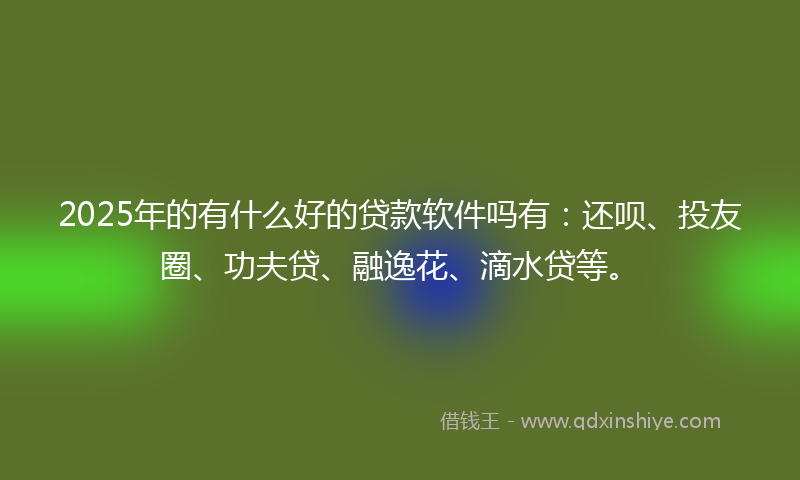 2025年的有什么好的贷款软件吗有：还呗、投友圈、功夫贷、融逸花、滴水贷等。