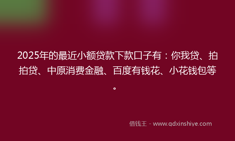 2025年的最近小额贷款下款口子有：你我贷、拍拍贷、中原消费金融、百度有钱花、小花钱包等。