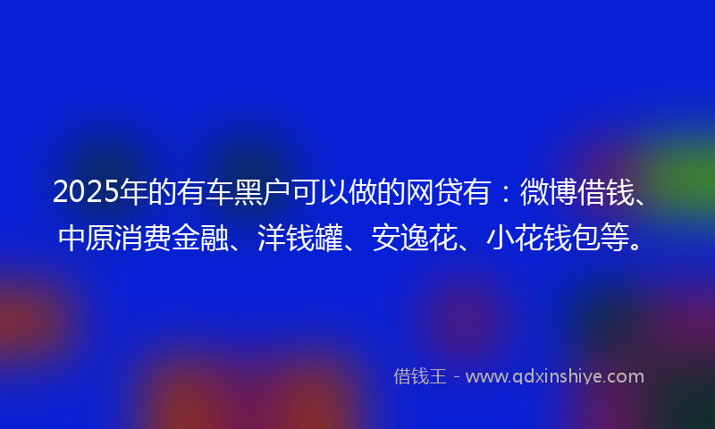 2025年的有车黑户可以做的网贷有：微博借钱、中原消费金融、洋钱罐、安逸花、小花钱包等。