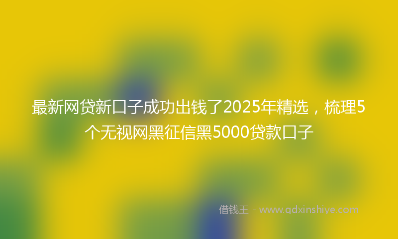 最新网贷新口子成功出钱了2025年精选，梳理5个无视网黑征信黑5000贷款口子