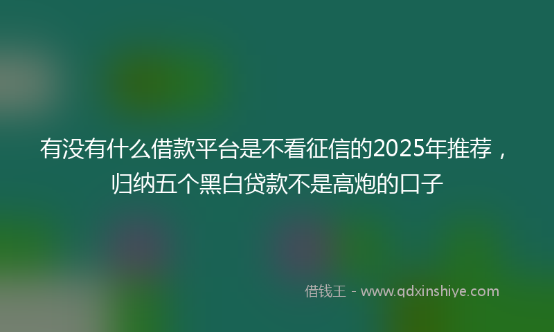 有没有什么借款平台是不看征信的2025年推荐，归纳五个黑白贷款不是高炮的口子