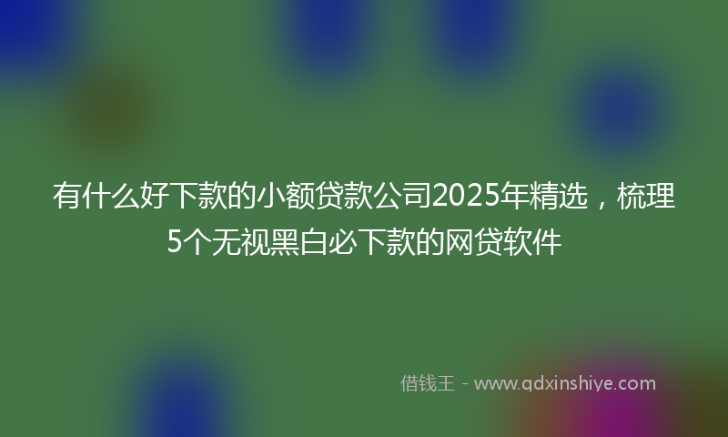 有什么好下款的小额贷款公司2025年精选，梳理5个无视黑白必下款的网贷软件