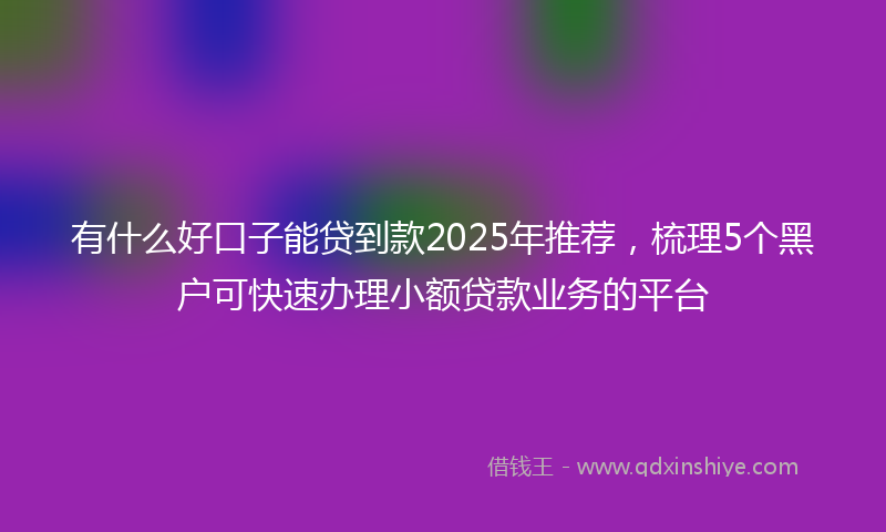 有什么好口子能贷到款2025年推荐，梳理5个黑户可快速办理小额贷款业务的平台