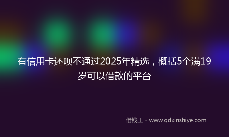 有信用卡还呗不通过2025年精选，概括5个满19岁可以借款的平台