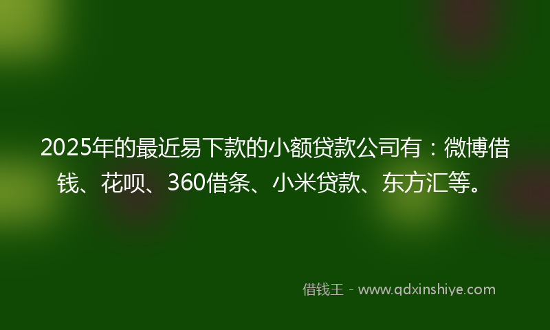 2025年的最近易下款的小额贷款公司有：微博借钱、花呗、360借条、小米贷款、东方汇等。