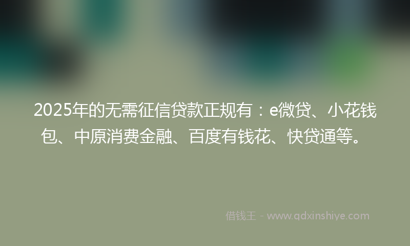 2025年的无需征信贷款正规有：e微贷、小花钱包、中原消费金融、百度有钱花、快贷通等。