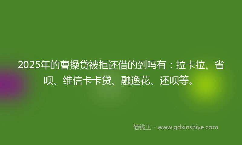 2025年的曹操贷被拒还借的到吗有：拉卡拉、省呗、维信卡卡贷、融逸花、还呗等。