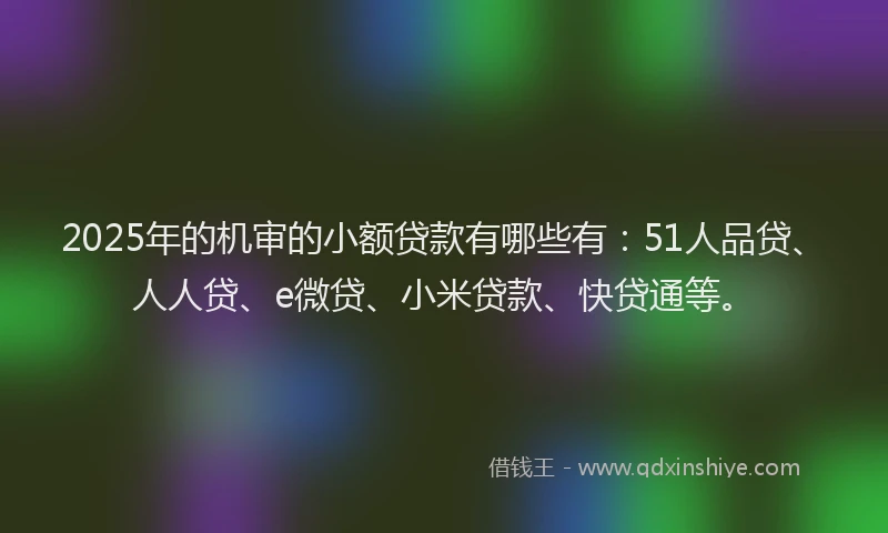 2025年的机审的小额贷款有哪些有：51人品贷、人人贷、e微贷、小米贷款、快贷通等。