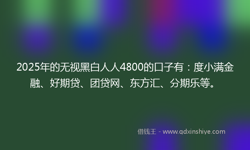 2025年的无视黑白人人4800的口子有：度小满金融、好期贷、团贷网、东方汇、分期乐等。