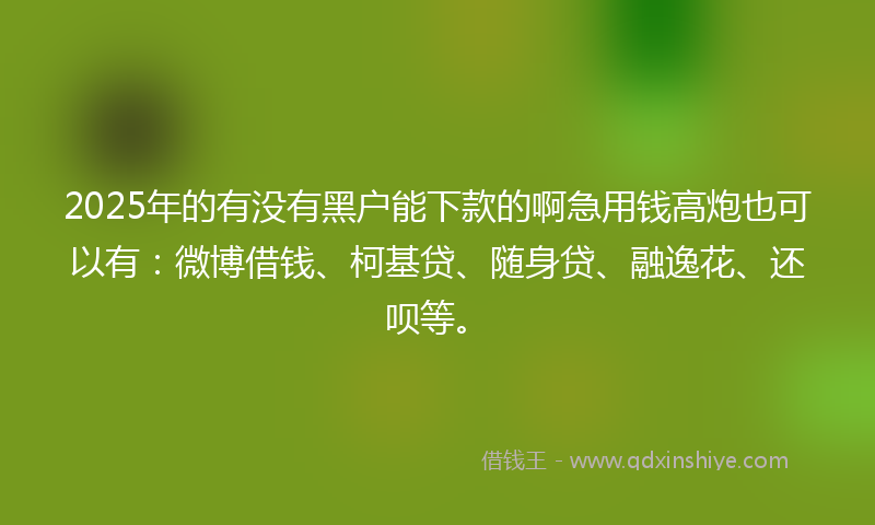 2025年的有没有黑户能下款的啊急用钱高炮也可以有：微博借钱、柯基贷、随身贷、融逸花、还呗等。
